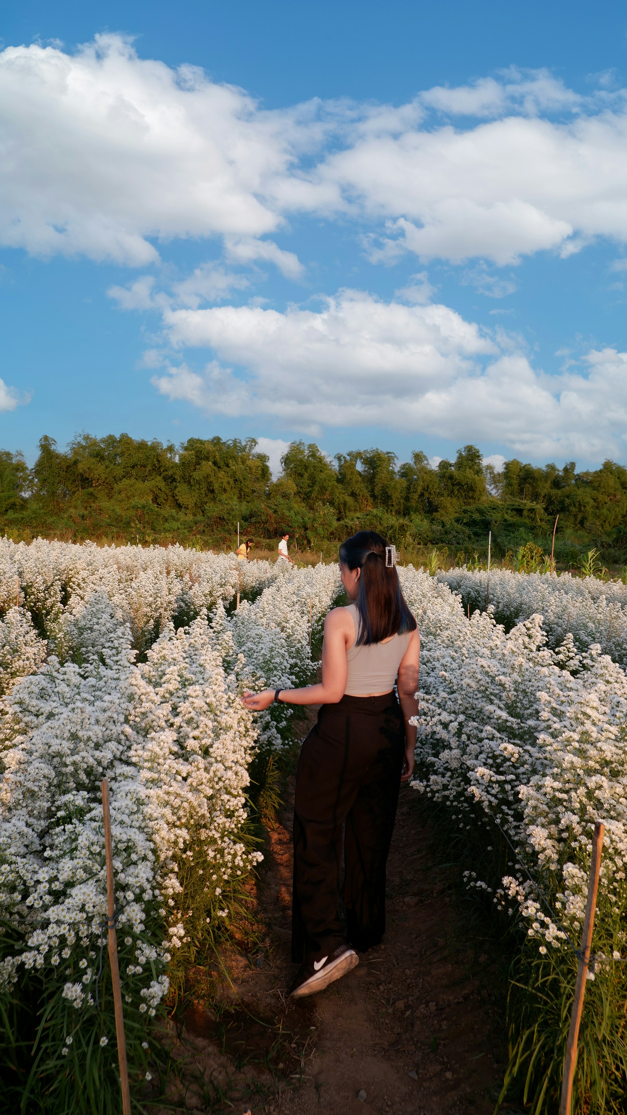 Phitsanulok Travel Guide: Explore Local Gems