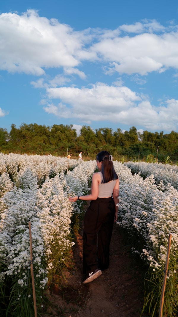 Phitsanulok Travel Guide: Explore Local Gems