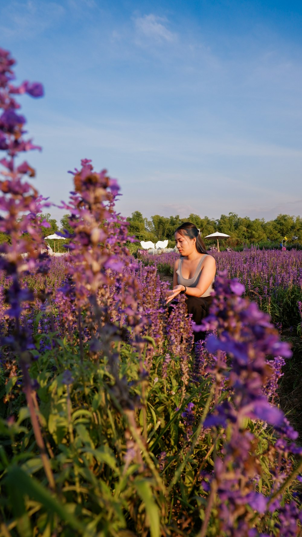 a woman standing in a field of purple flowers