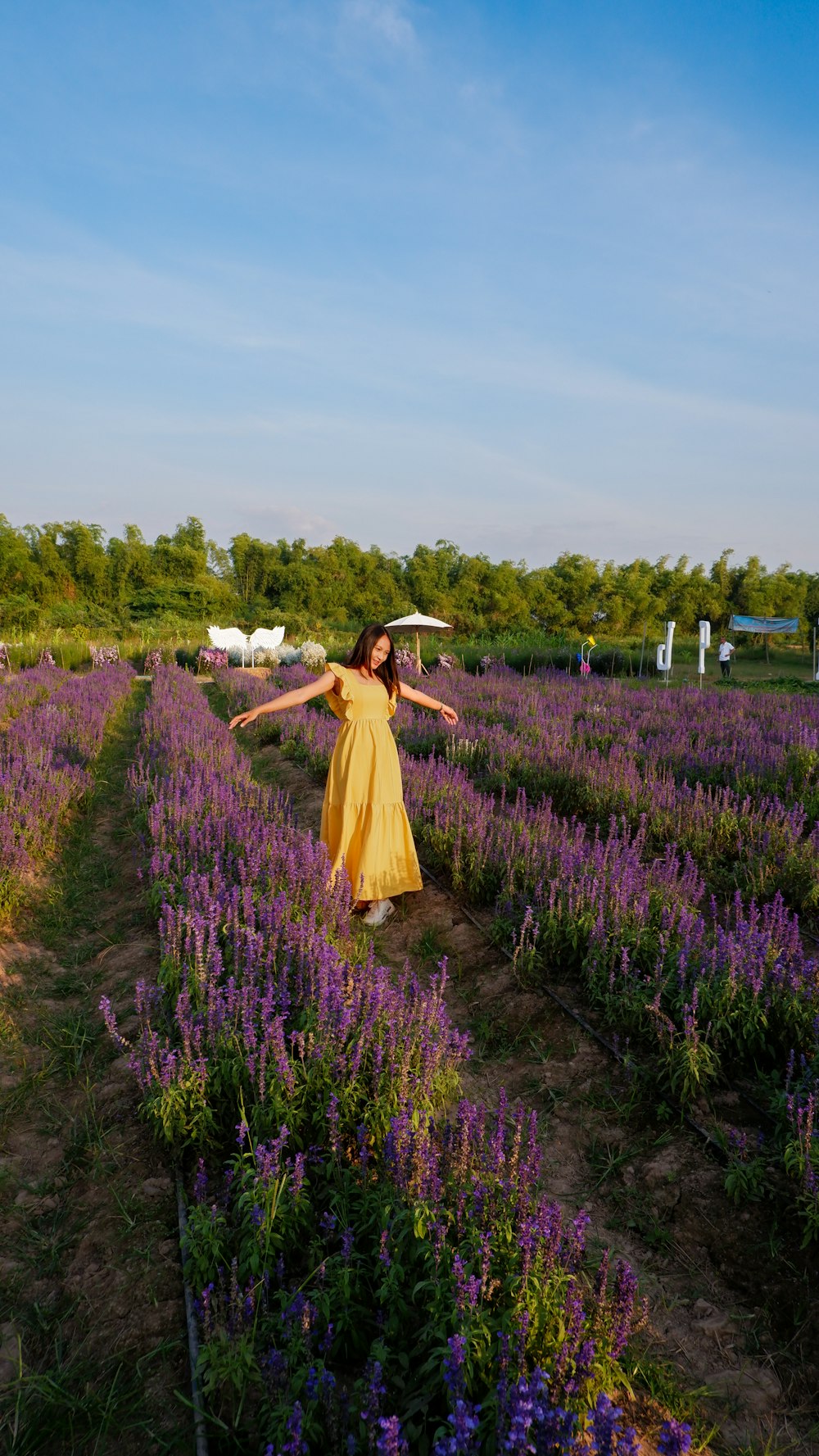 a woman in a yellow dress standing in a field of purple flowers