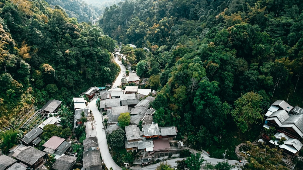 an aerial view of a village surrounded by trees