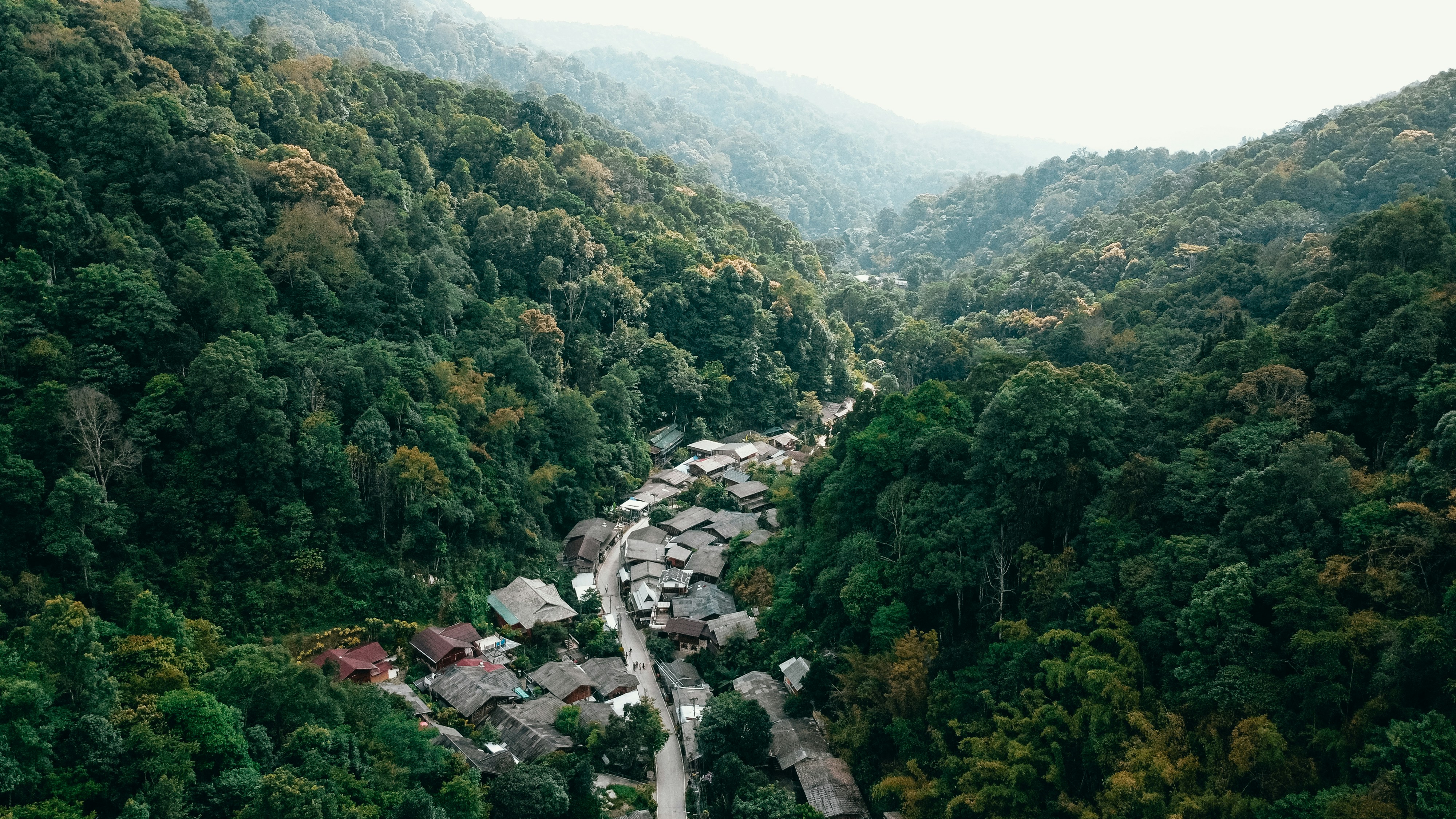 a village nestled in the middle of a forest