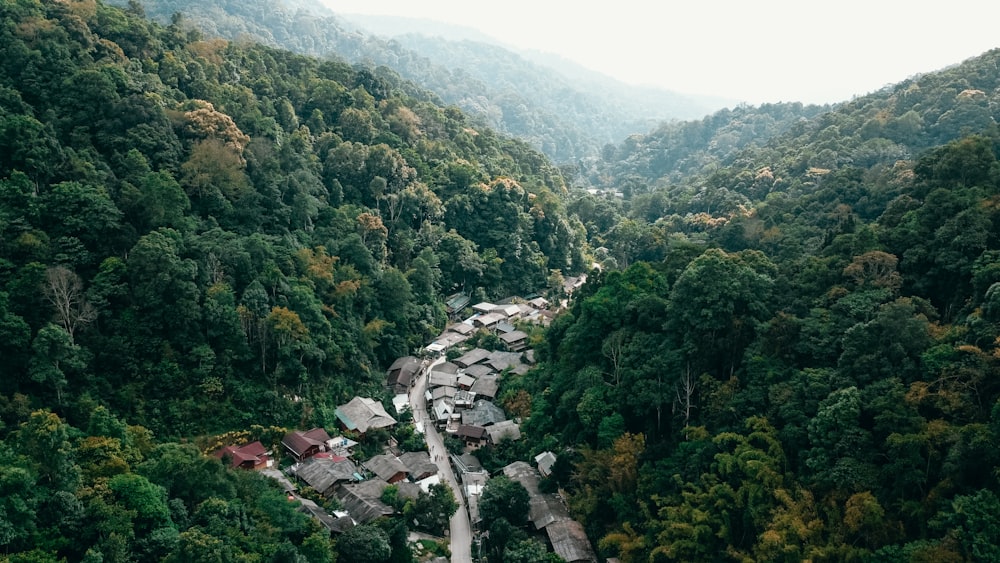 a village nestled in the middle of a forest