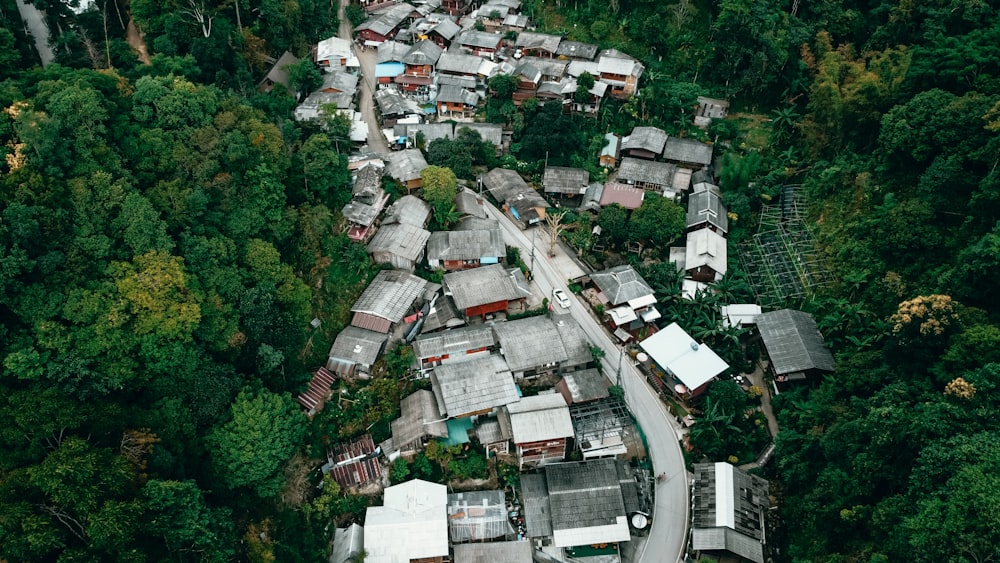 an aerial view of a village surrounded by trees