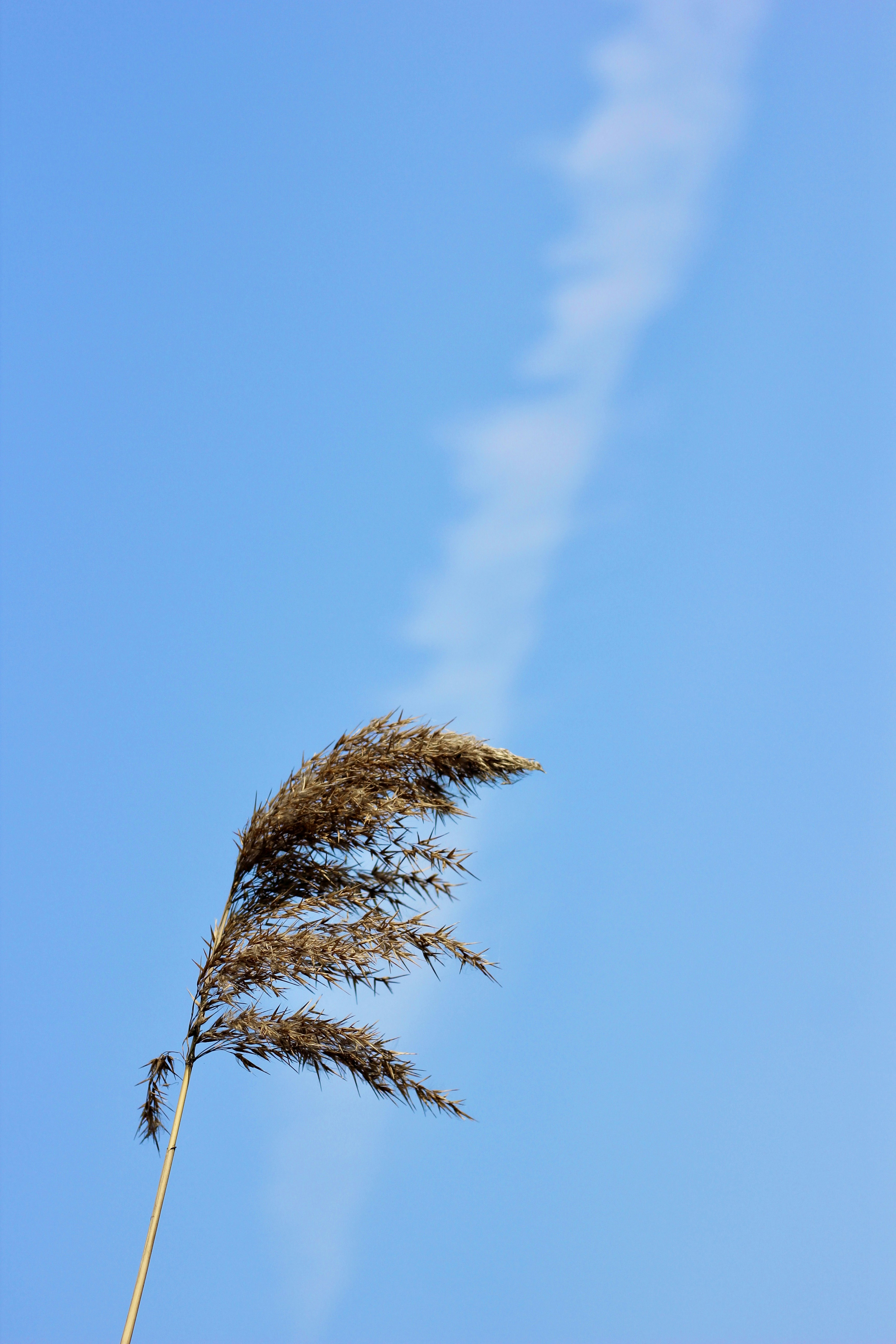 Photo by elliot_zhang