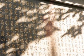 Golden Chinese characters are elegantly inscribed on a light-colored stone surface, partially shadowed by the silhouette of leaves and branches. The sunlight creates a contrast, enhancing the visibility of the carved text while casting intricate shadow patterns across the surface.