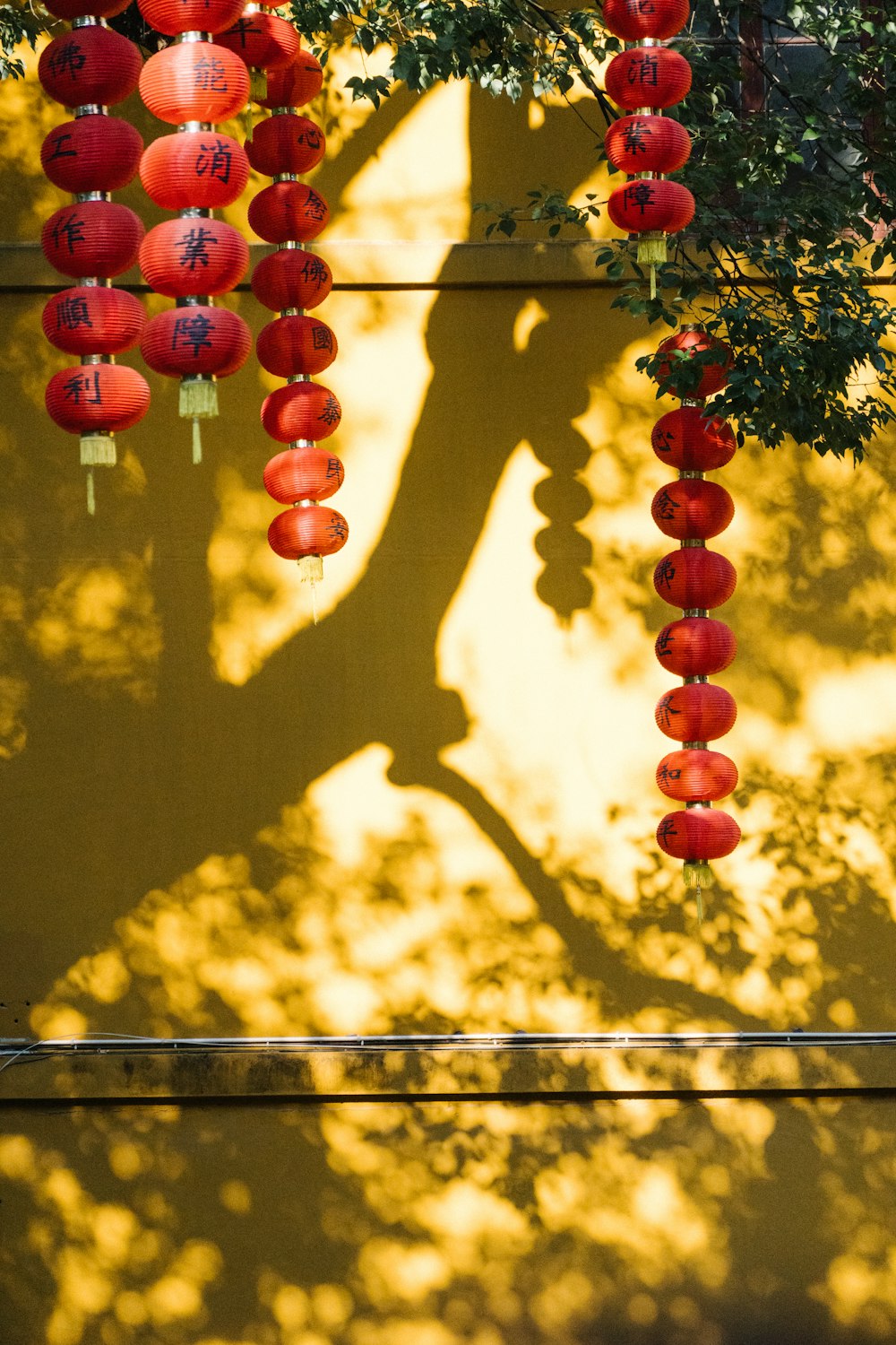 a shadow of a person holding a red lantern