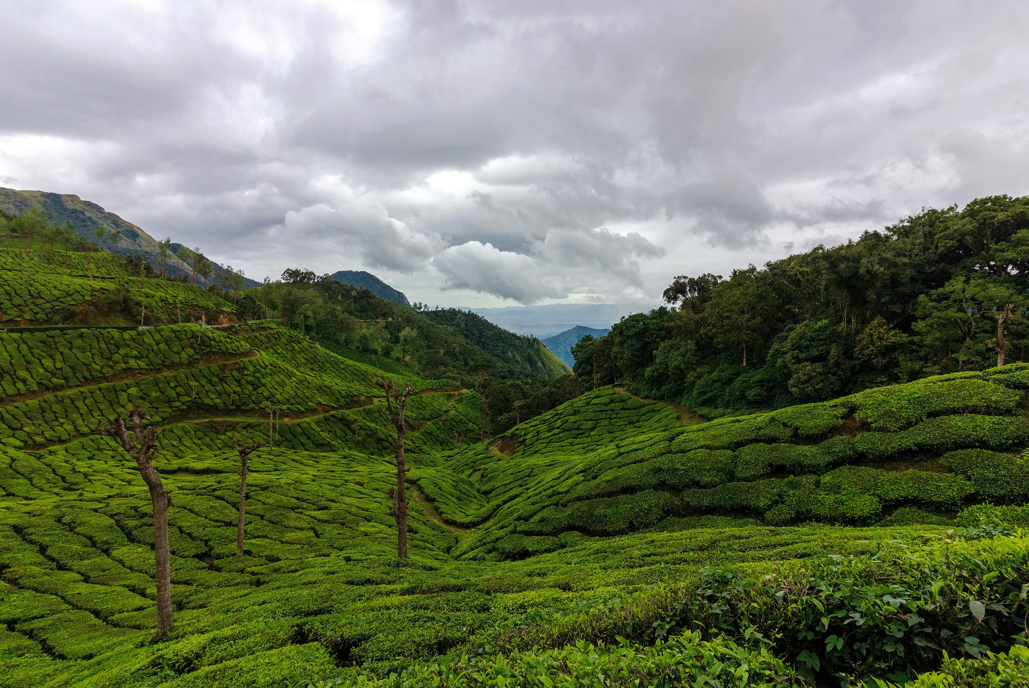 Photo by manoharreddy