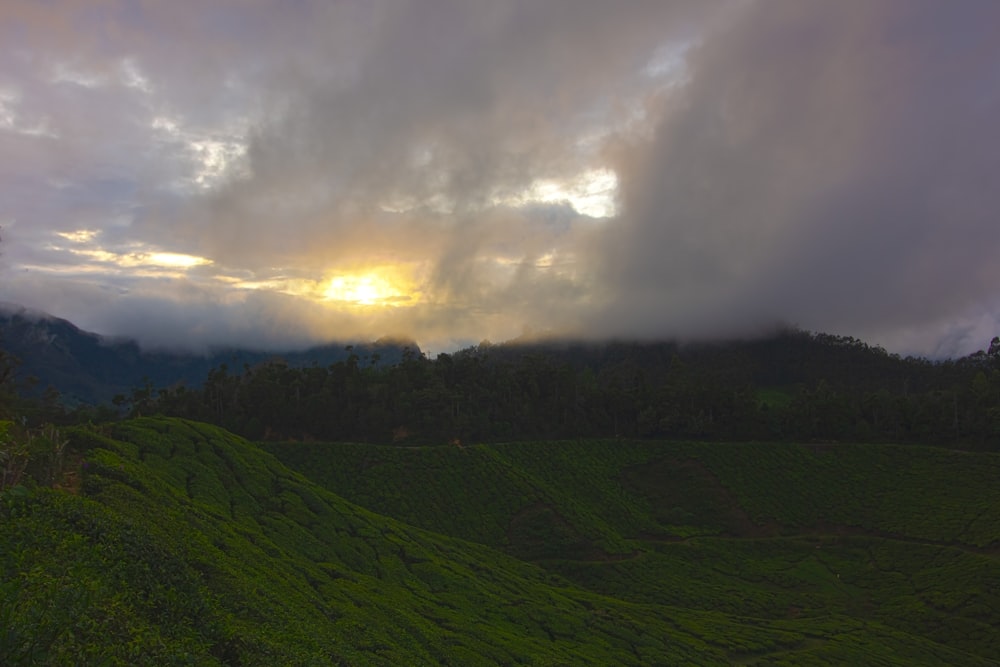the sun shines through the clouds over a tea plantation