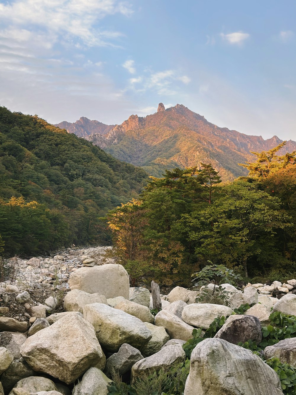 a mountain range with rocks and trees in the foreground