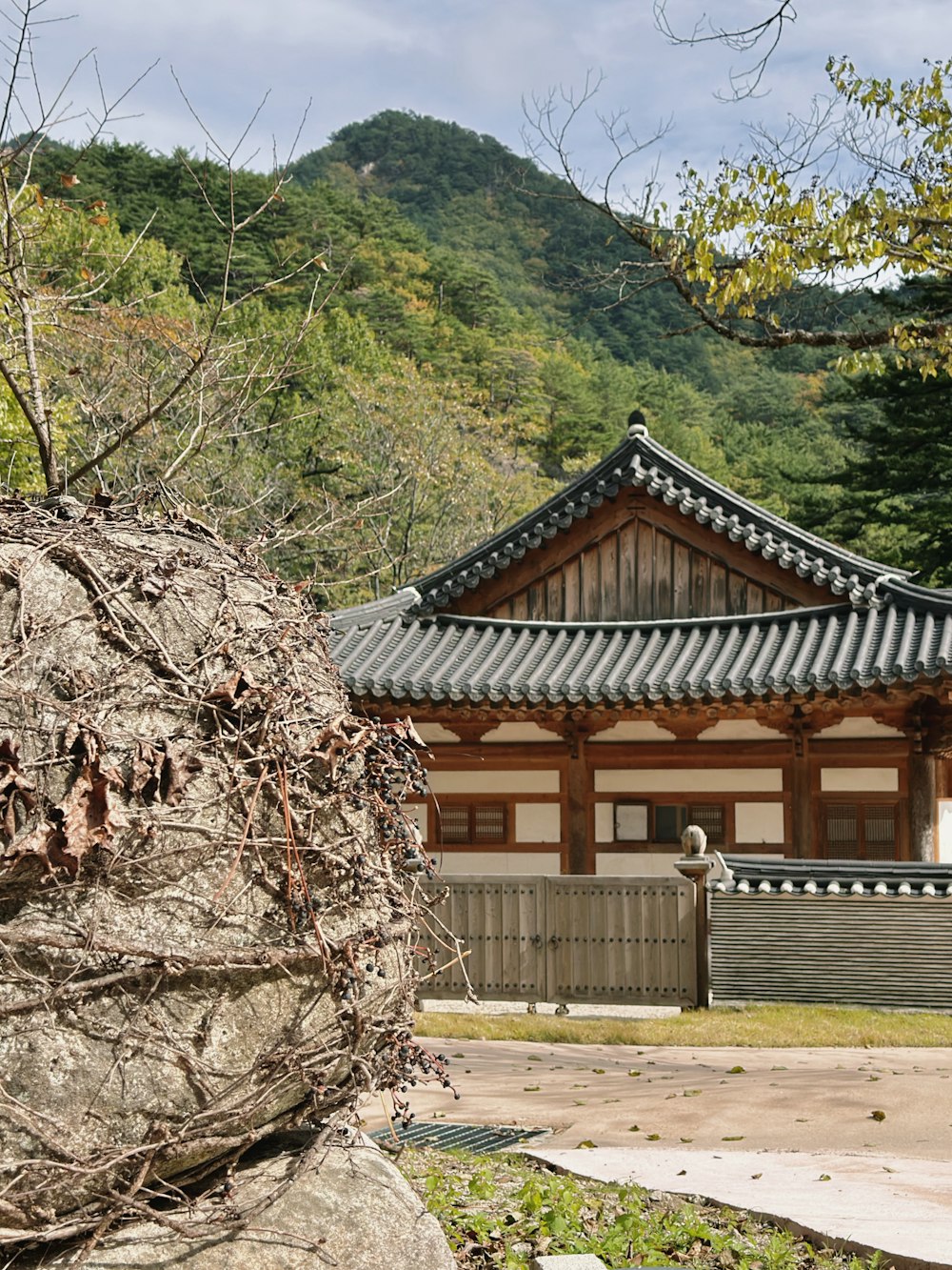 a large rock in front of a building