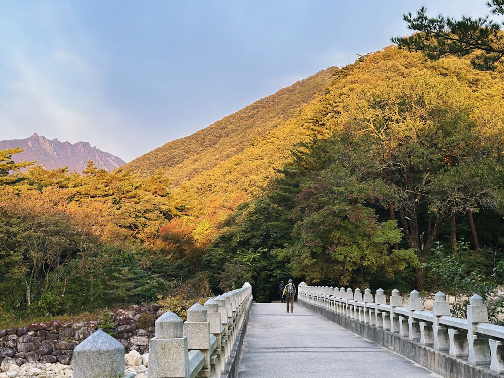 a person walking across a bridge over a river