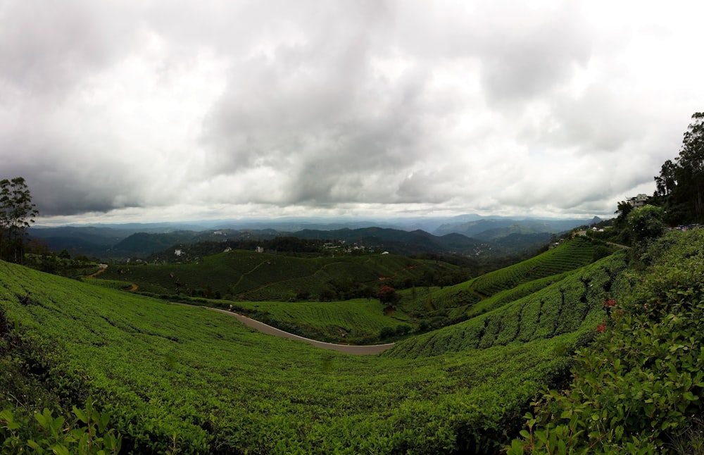 a scenic view of a lush green valley