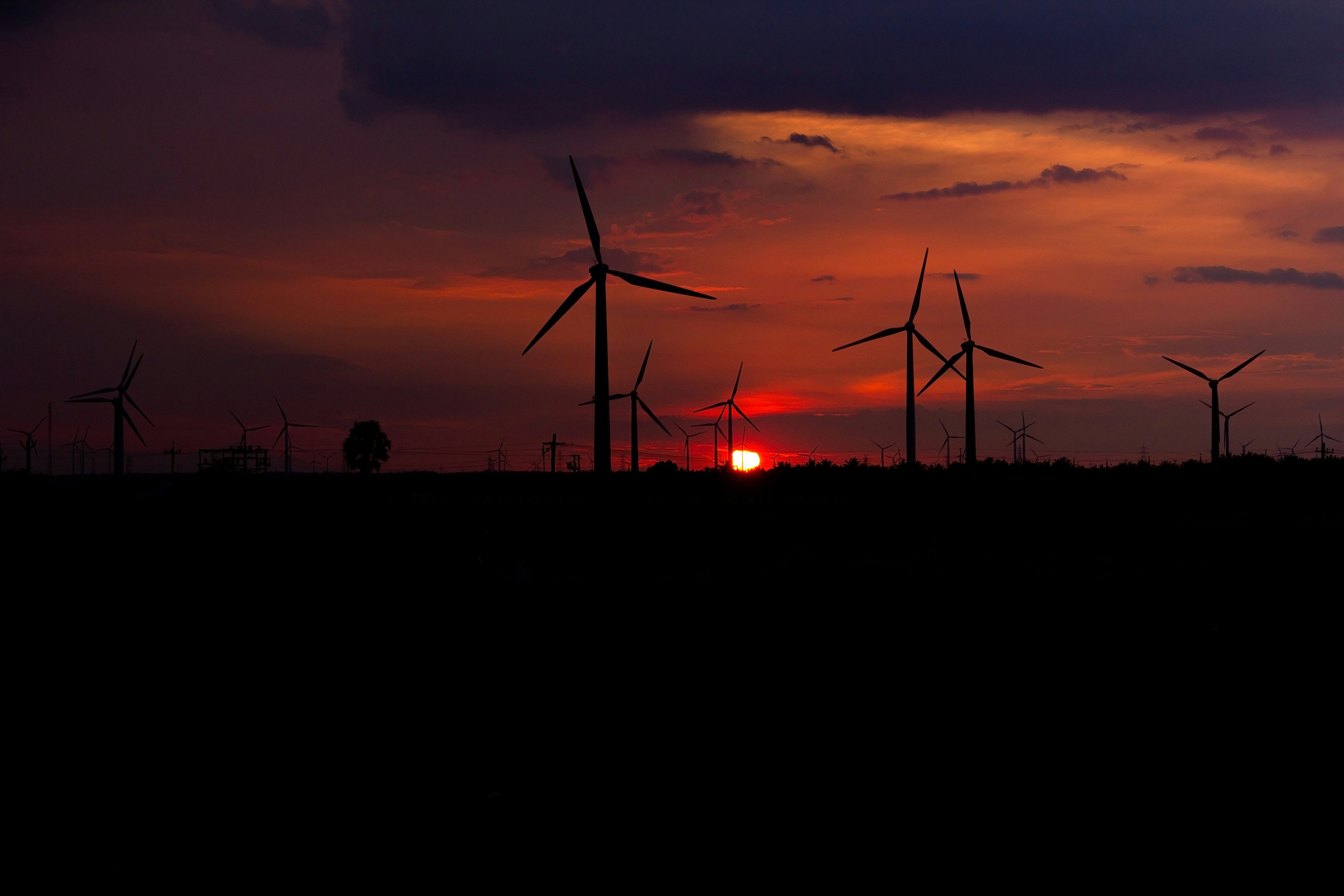 Photo by manoharreddy