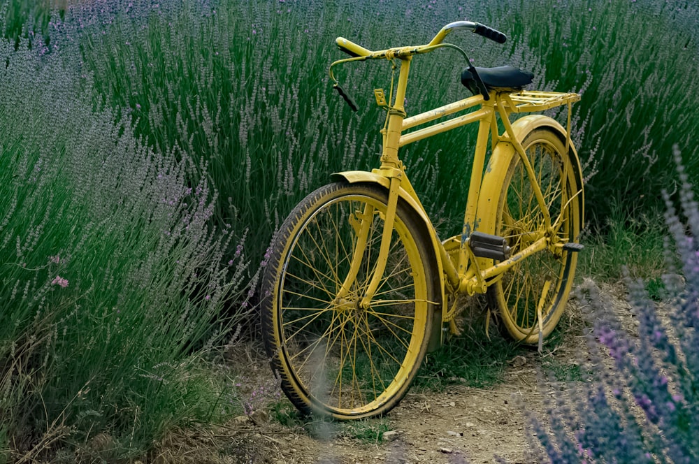 a yellow bicycle parked in front of a field of lavender flowers
