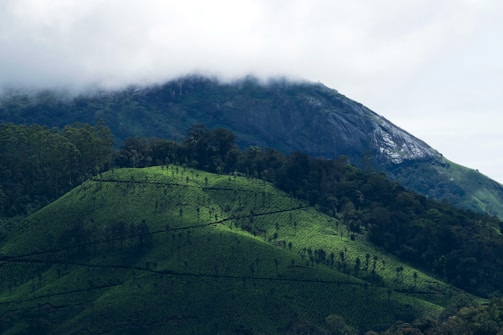 A scenic view of lush green hills in Sri Lanka.