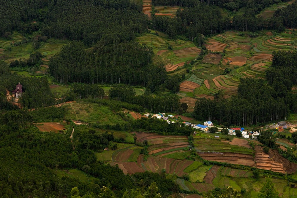 an aerial view of a lush green valley