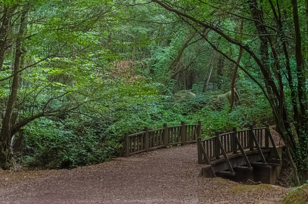 a wooden bridge in the middle of a forest