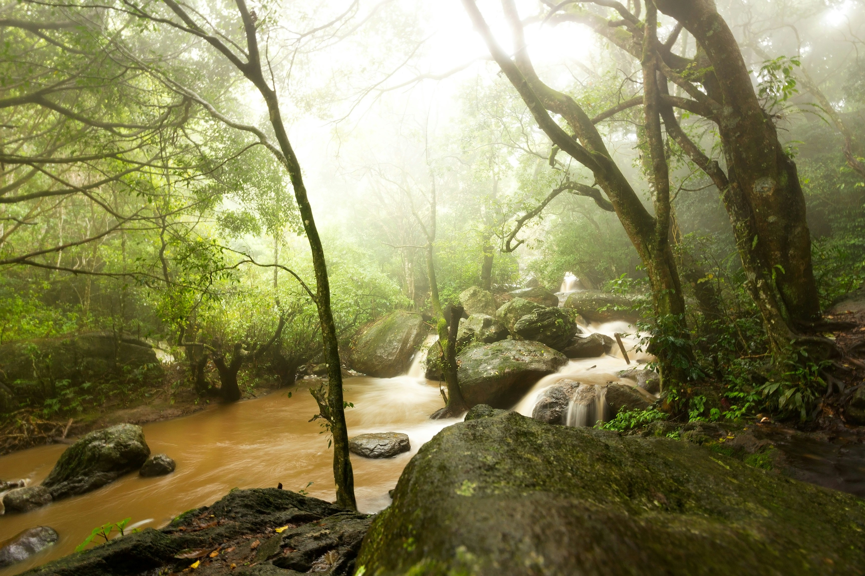 Photo by manoharreddy