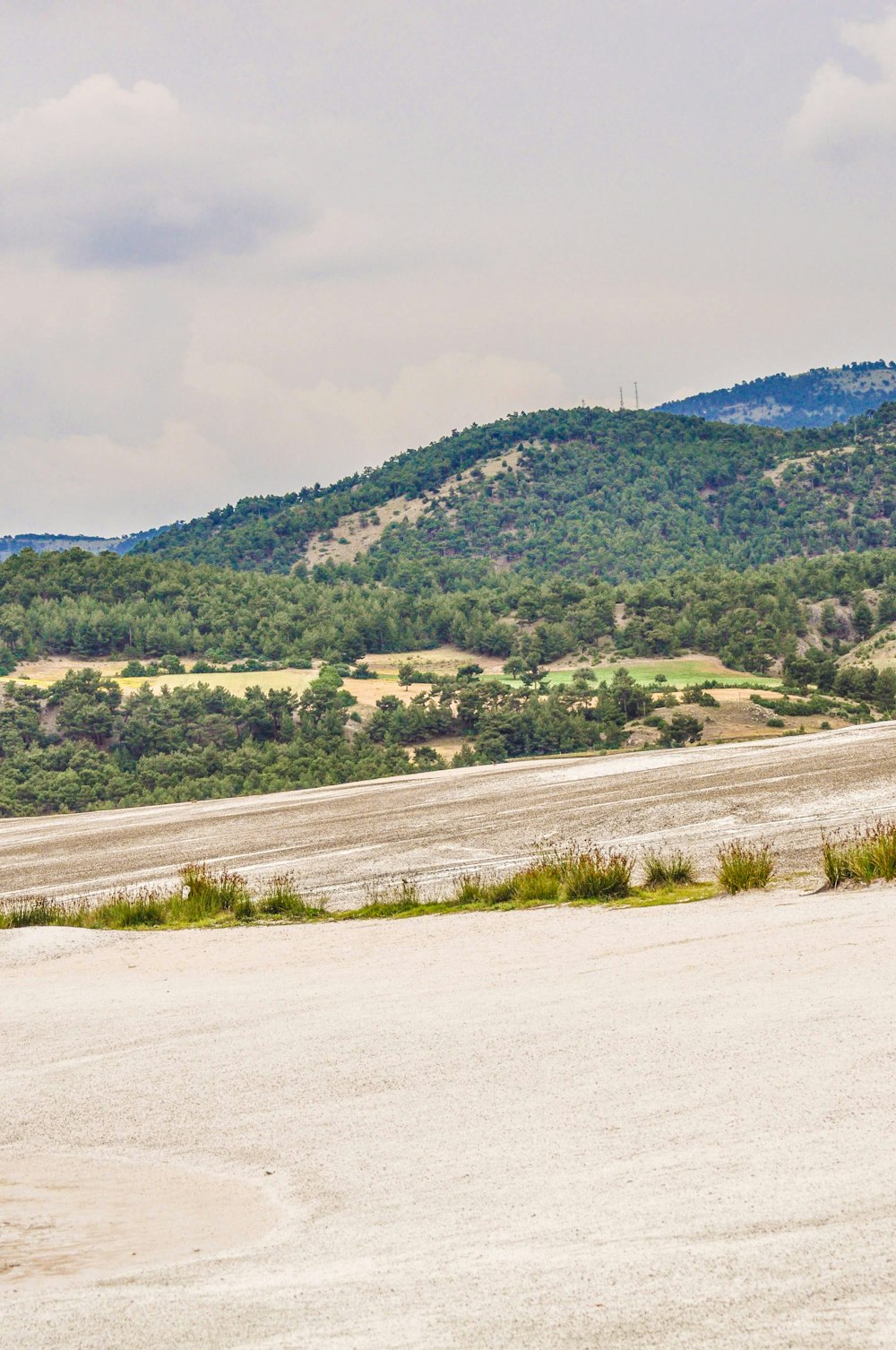 a man riding a horse down a dirt road