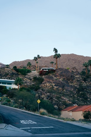 A scenic view of a residential area positioned on a rocky hillside. Several modern houses, including one with a distinctive angular design, are surrounded by desert vegetation and palm trees. The foreground shows a winding road with a stop sign painted on it.
