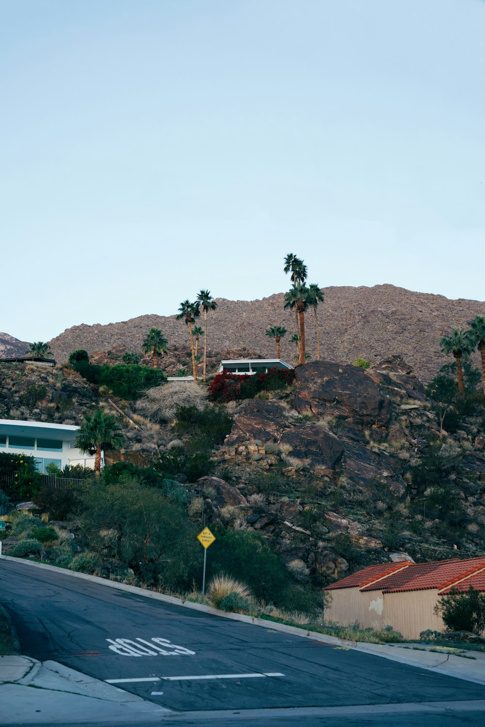 a bus is parked on the side of the road