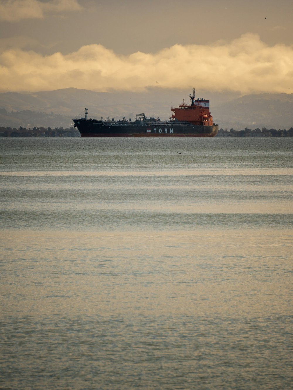 a large cargo ship in the middle of the ocean