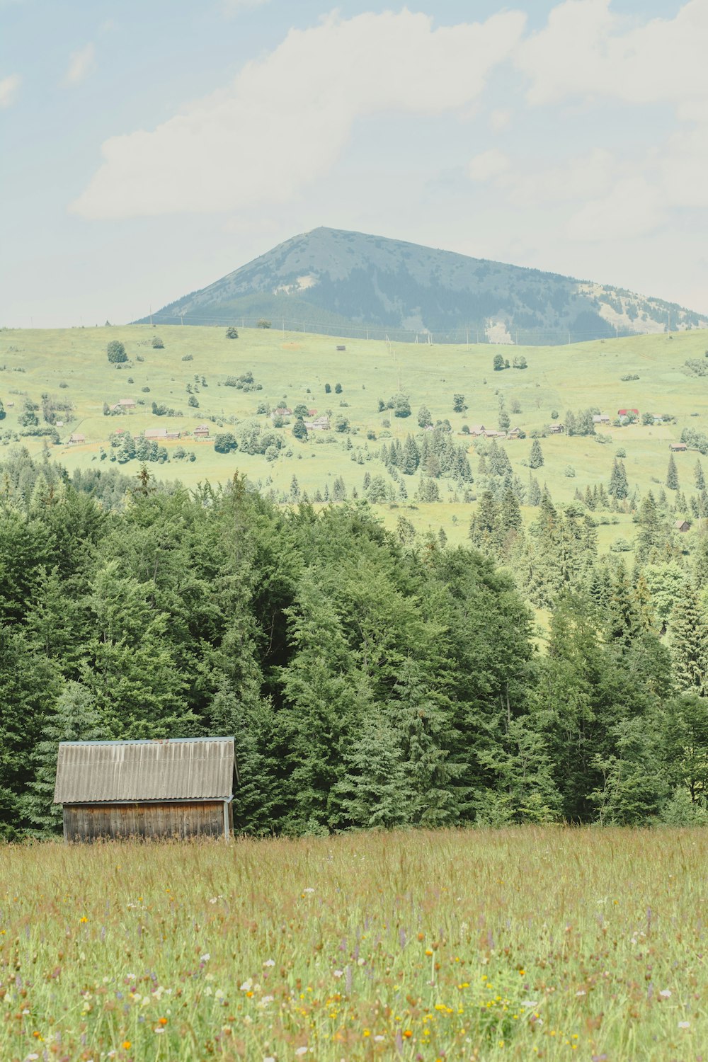 a bench in a field with a mountain in the background