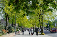 Volunteers planting trees along a busy urban street on a sunny day.