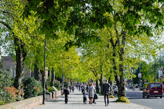 Volunteers planting trees along a busy urban street on a sunny day.