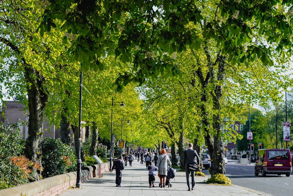 a group of people walking down a sidewalk next to trees