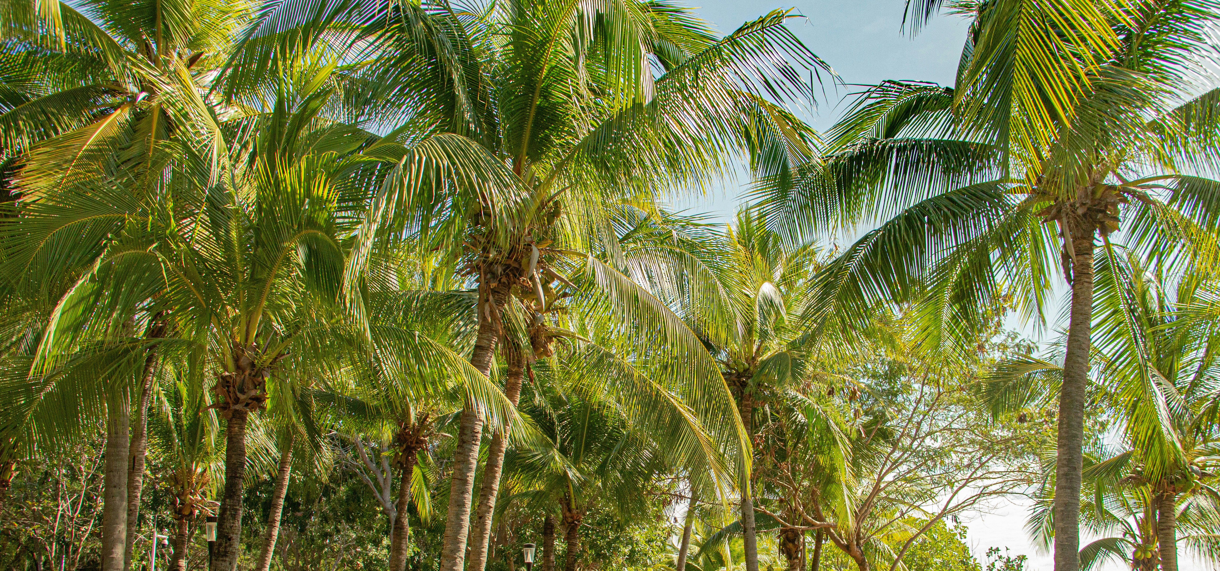 Photo by maro_of_sengu