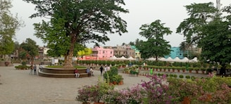 An open civic plaza featuring sculptural seating and integrated greenery, inviting diverse groups to gather and interact.
