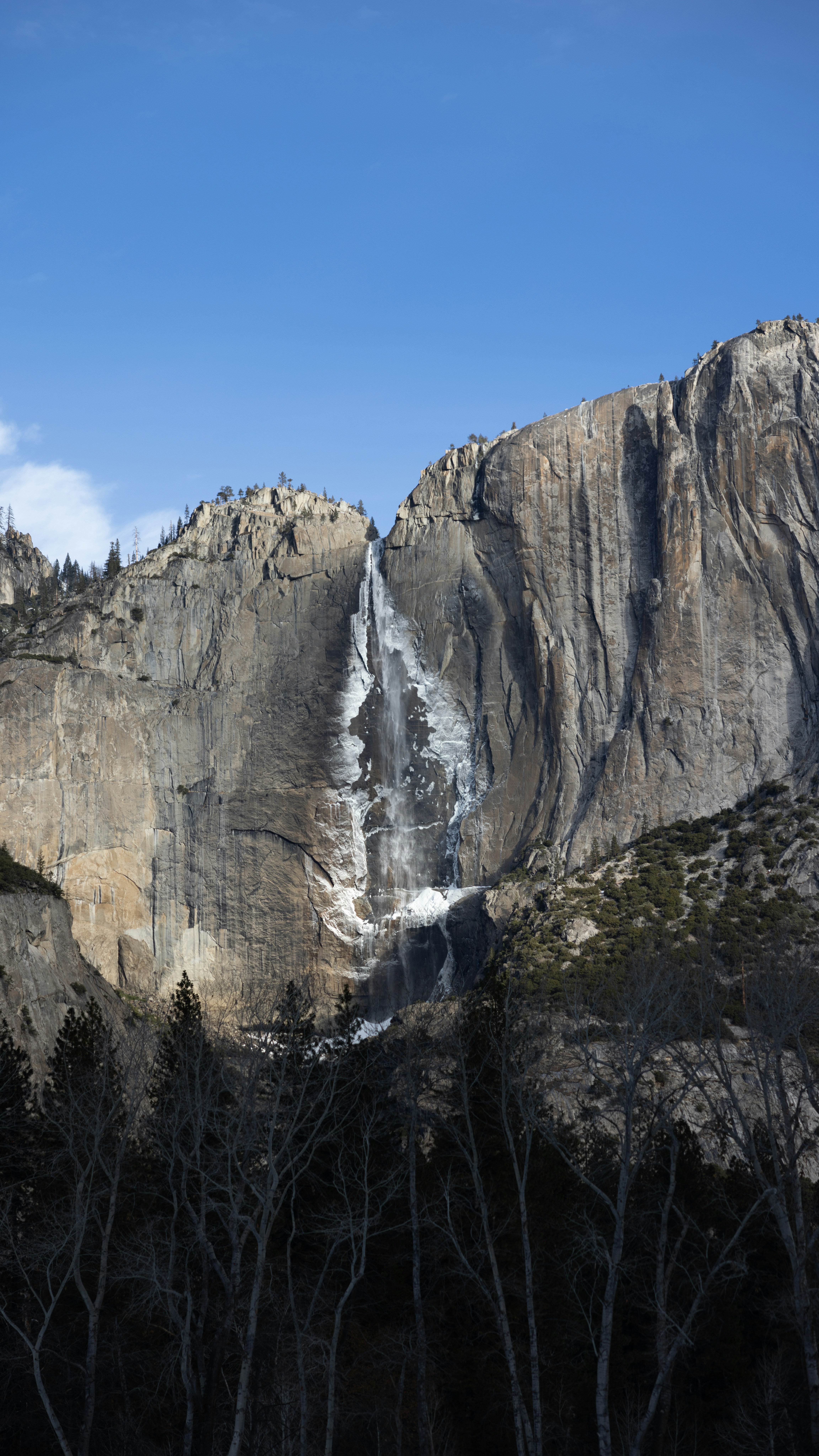 Photo by thetrentonsmith