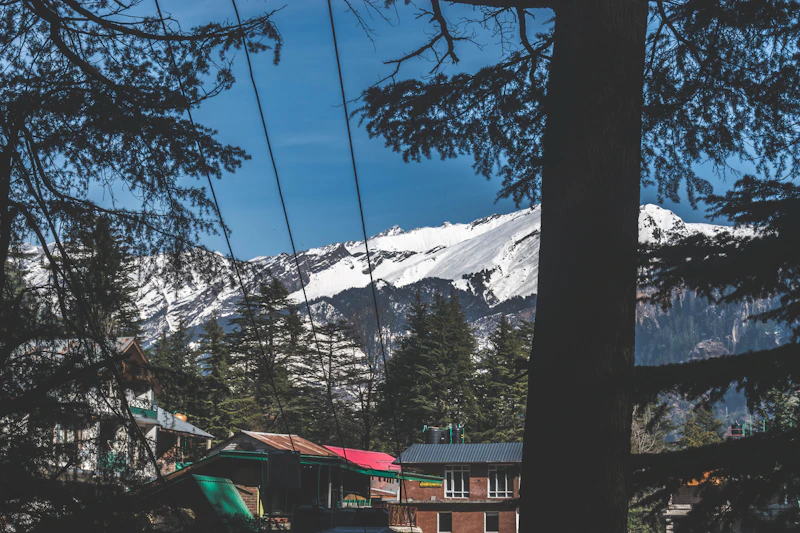 Top Fine Dining Restaurants in Manali for a Truly Special Meal
