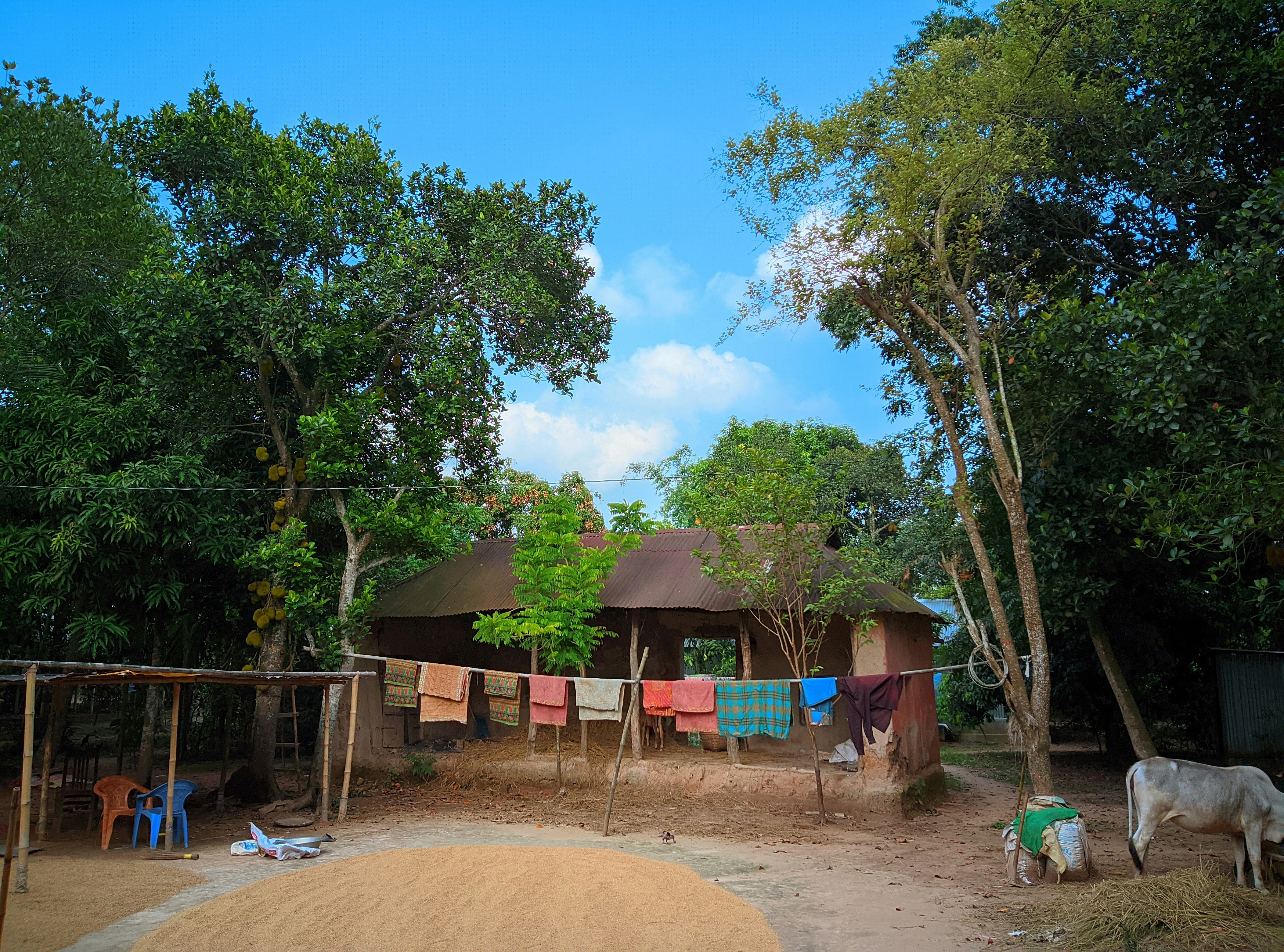 Photo by jonayed_khan