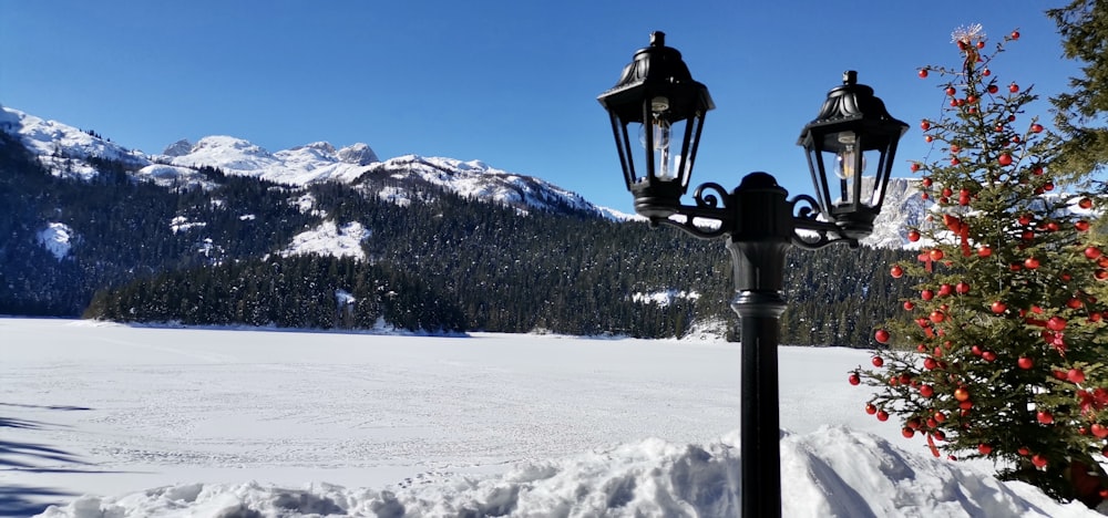 a lamp post in the middle of a snowy field