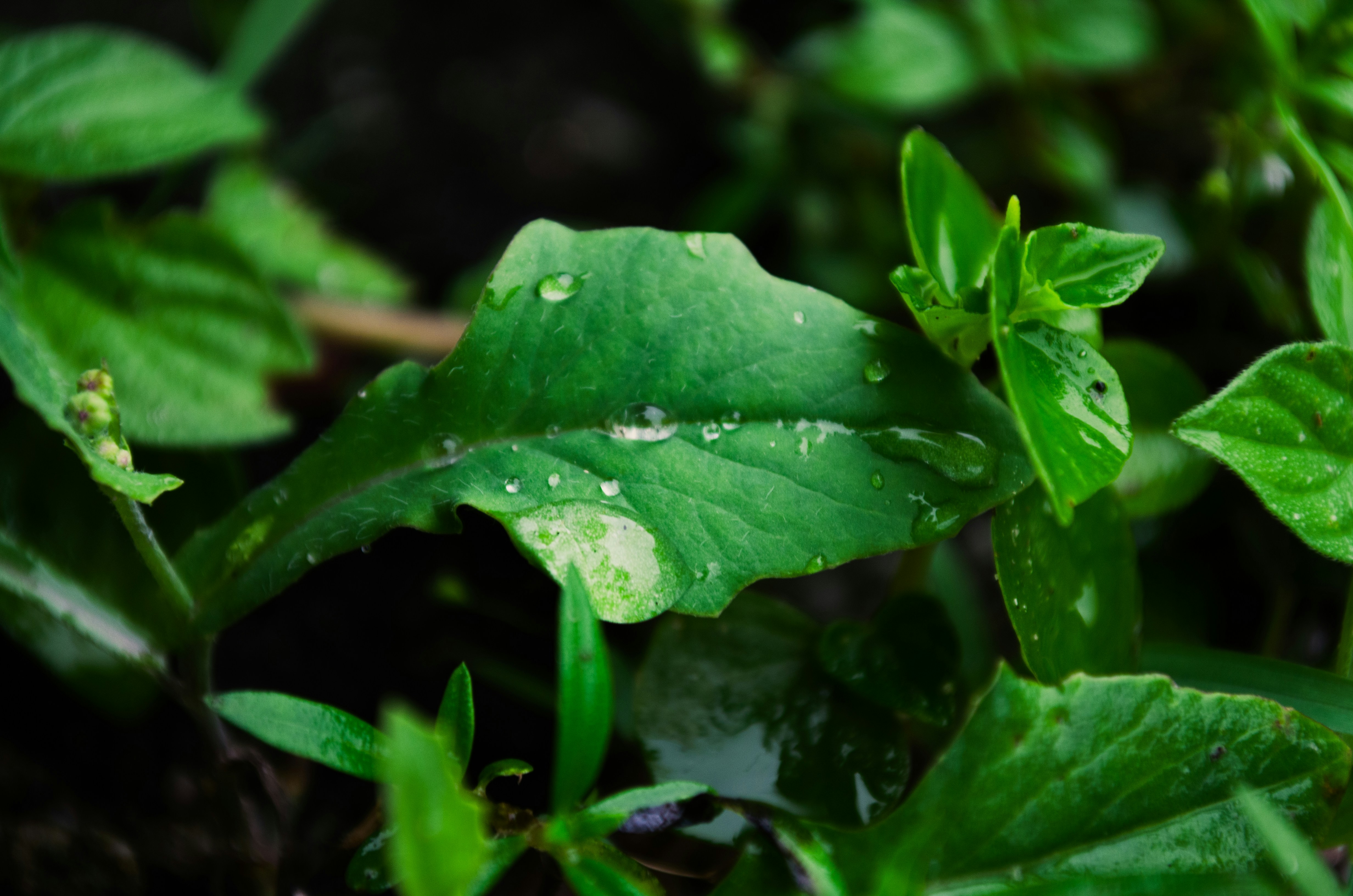 Photo by vincentkong_