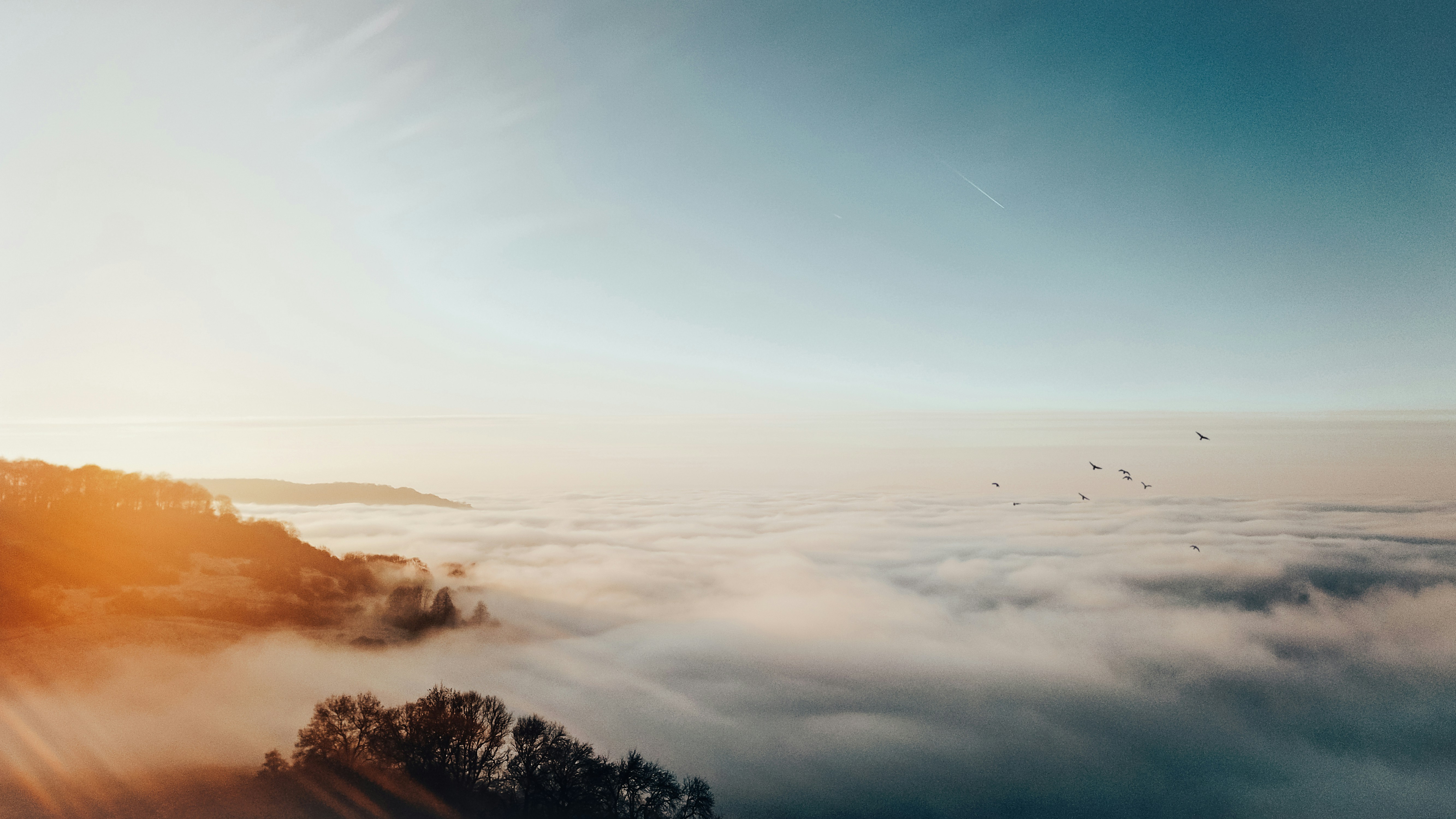 Photo by secondsight