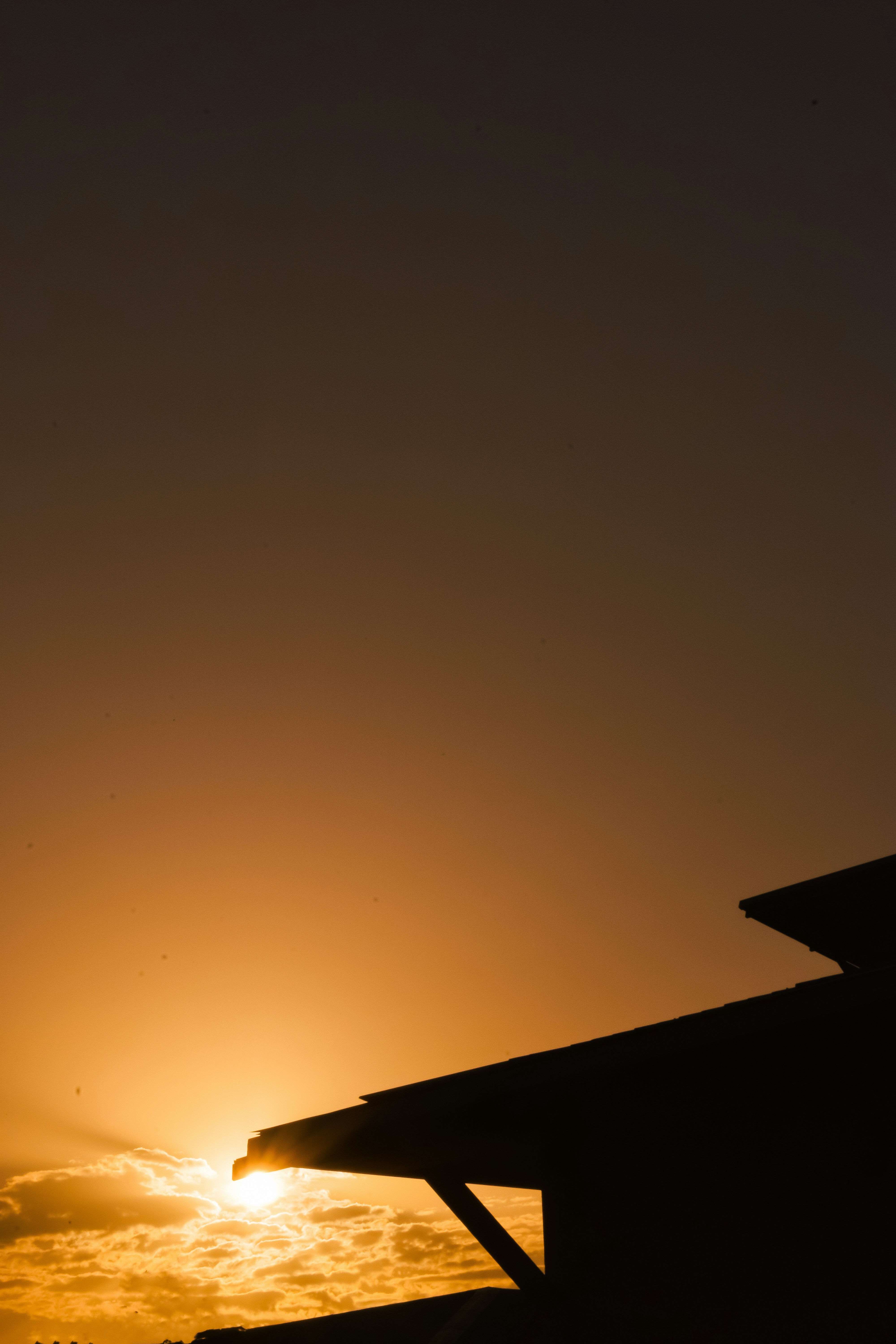 Photo by stevecameup