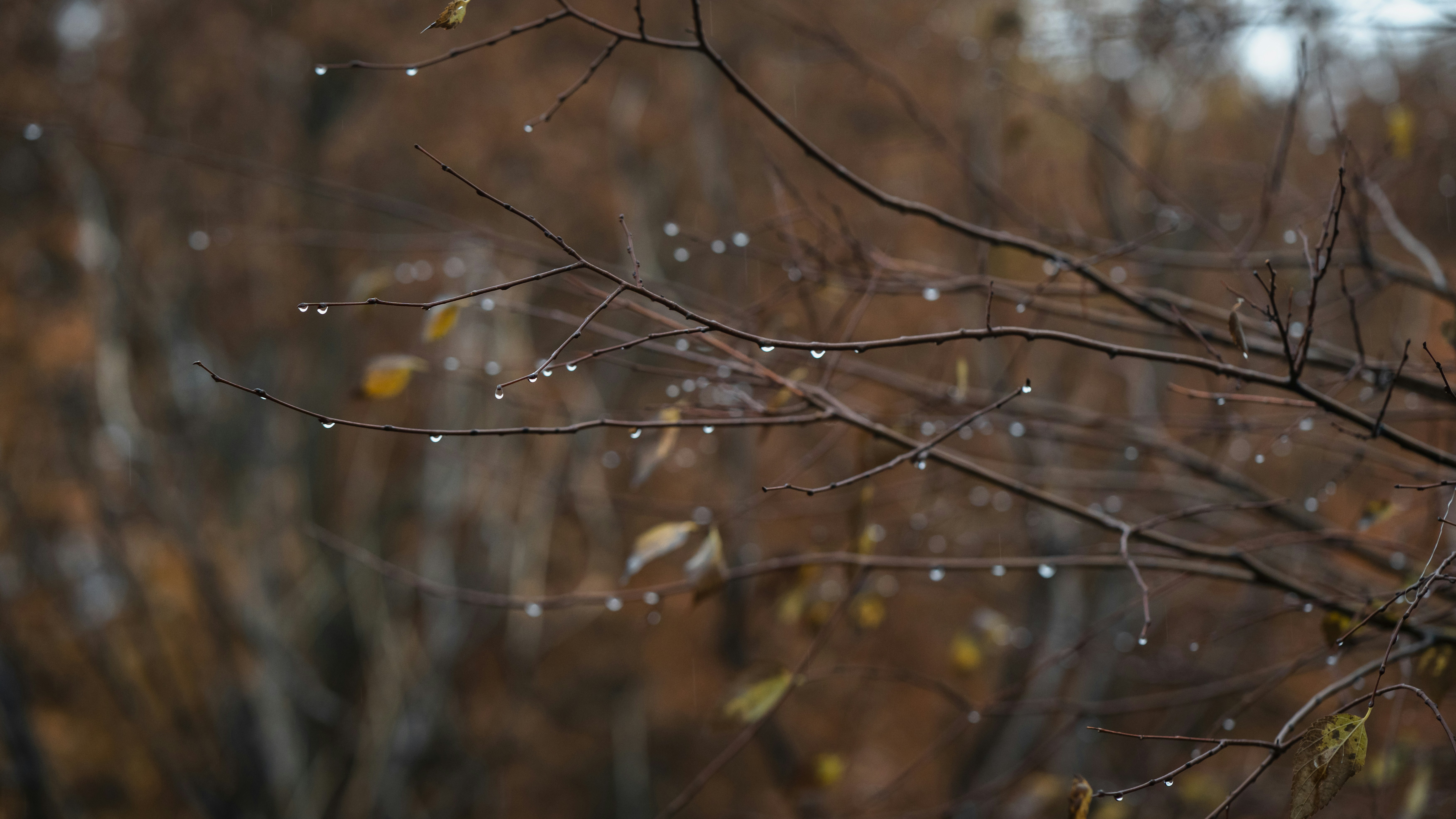 Photo by mohammad_mr