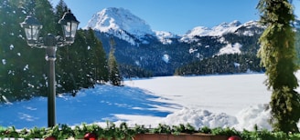 a view of a snow covered mountain and a park bench