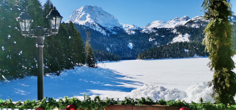 uma vista de uma montanha coberta de neve e um banco do parque