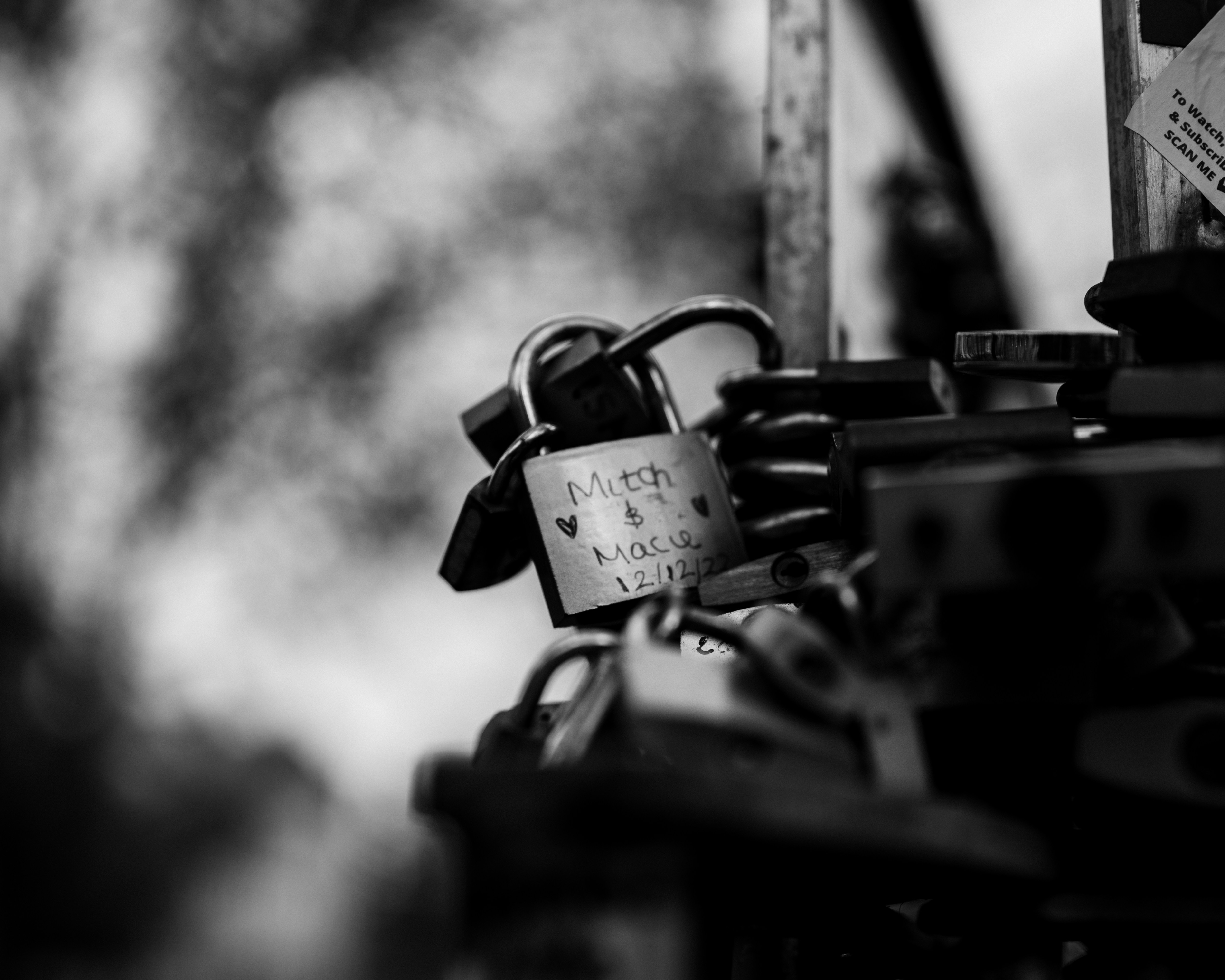 Photo by istvanszitas