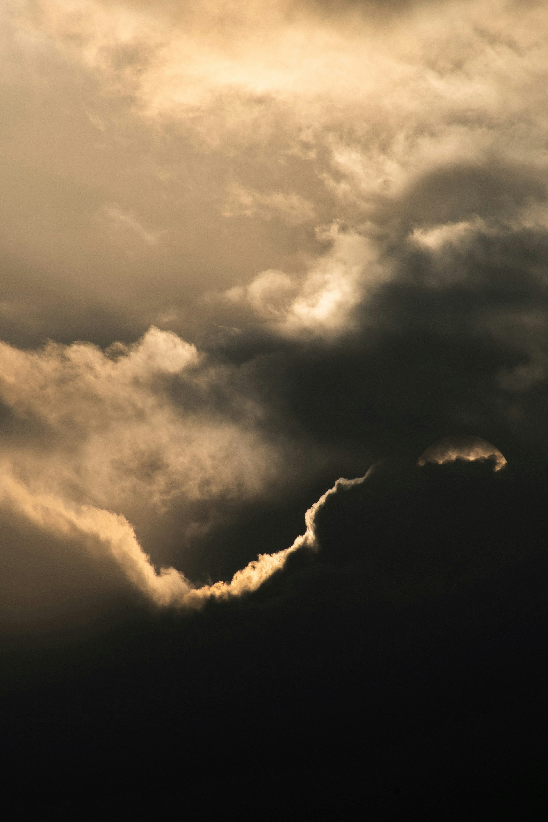 Photo by s_ahmadreza_p