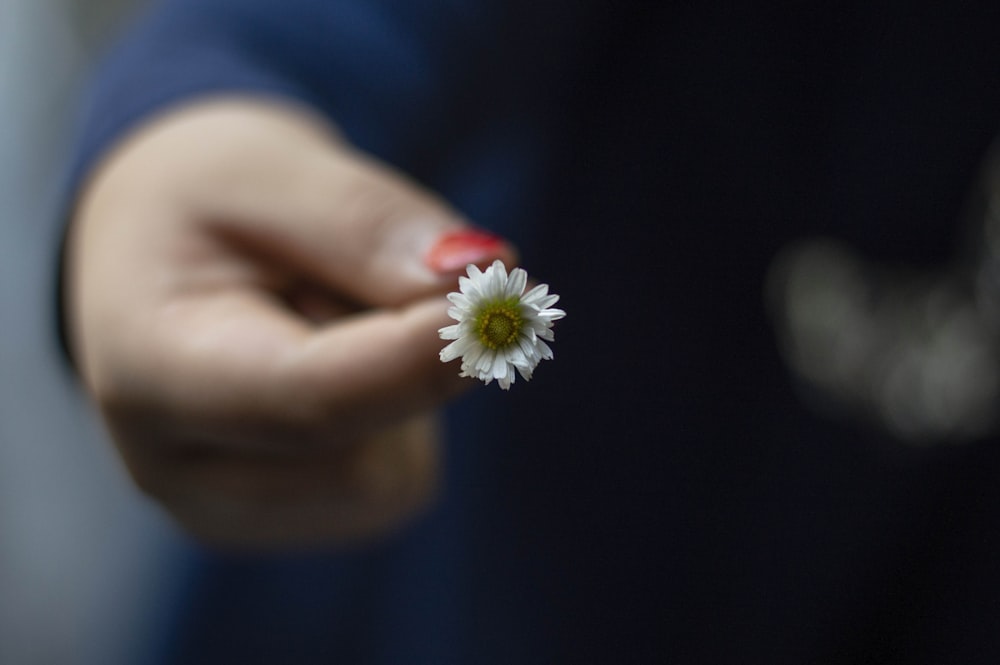 a person holding a small white flower in their hand