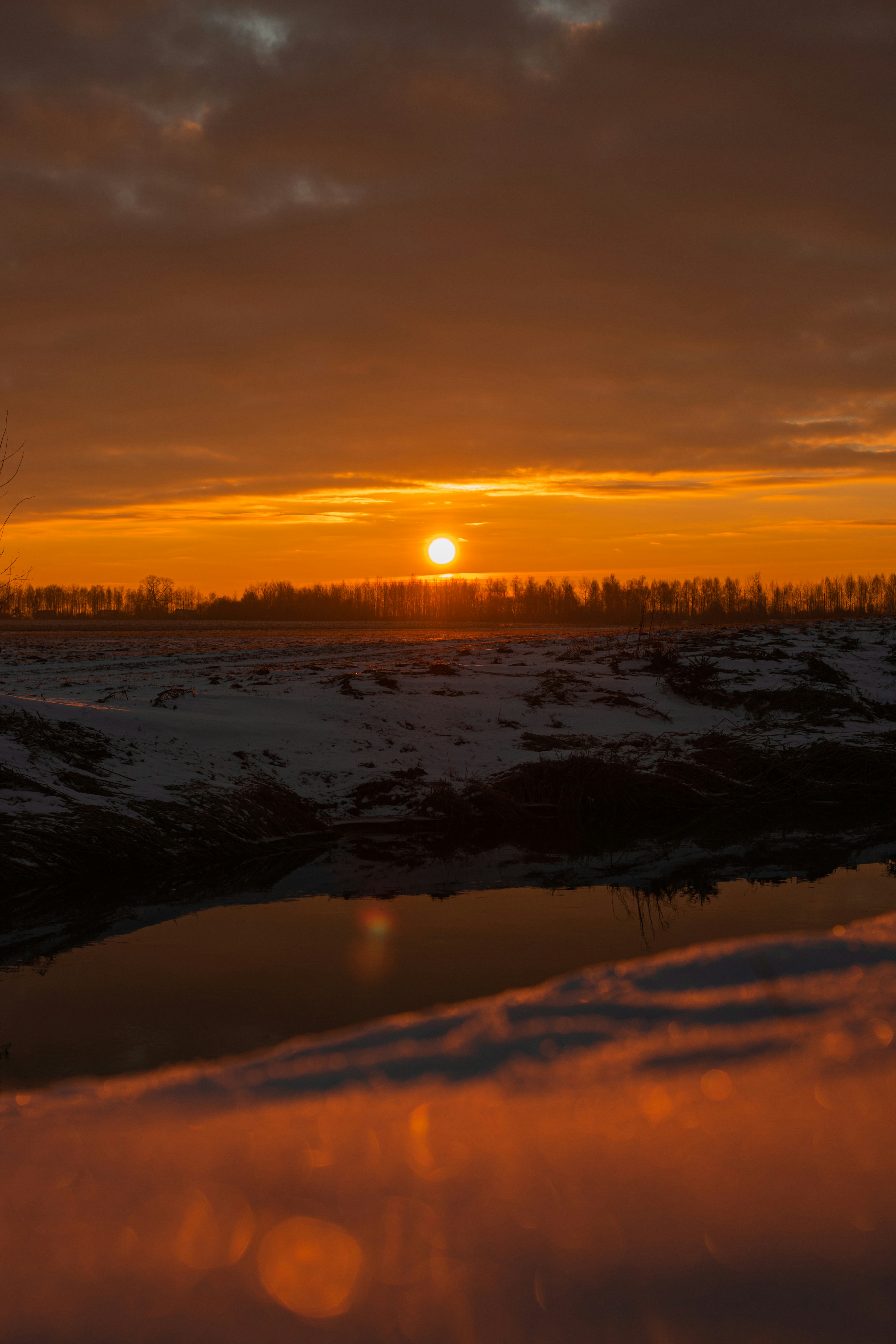 Photo by art_almighty