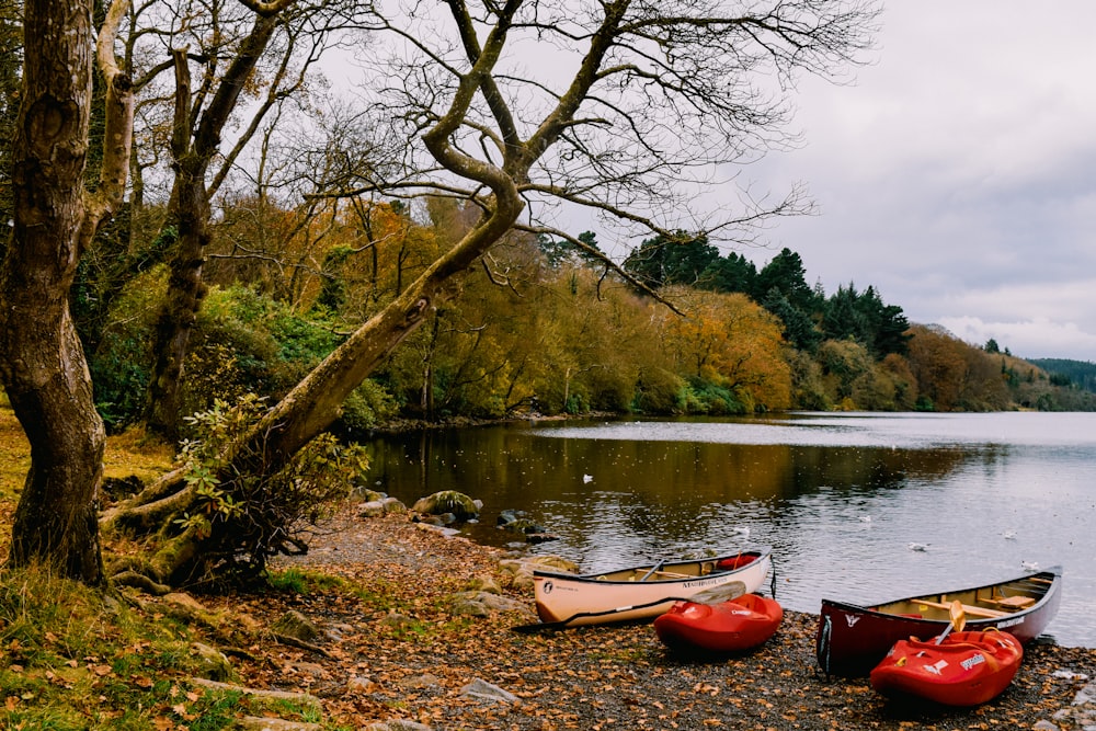 a couple of canoes sitting on the shore of a lake