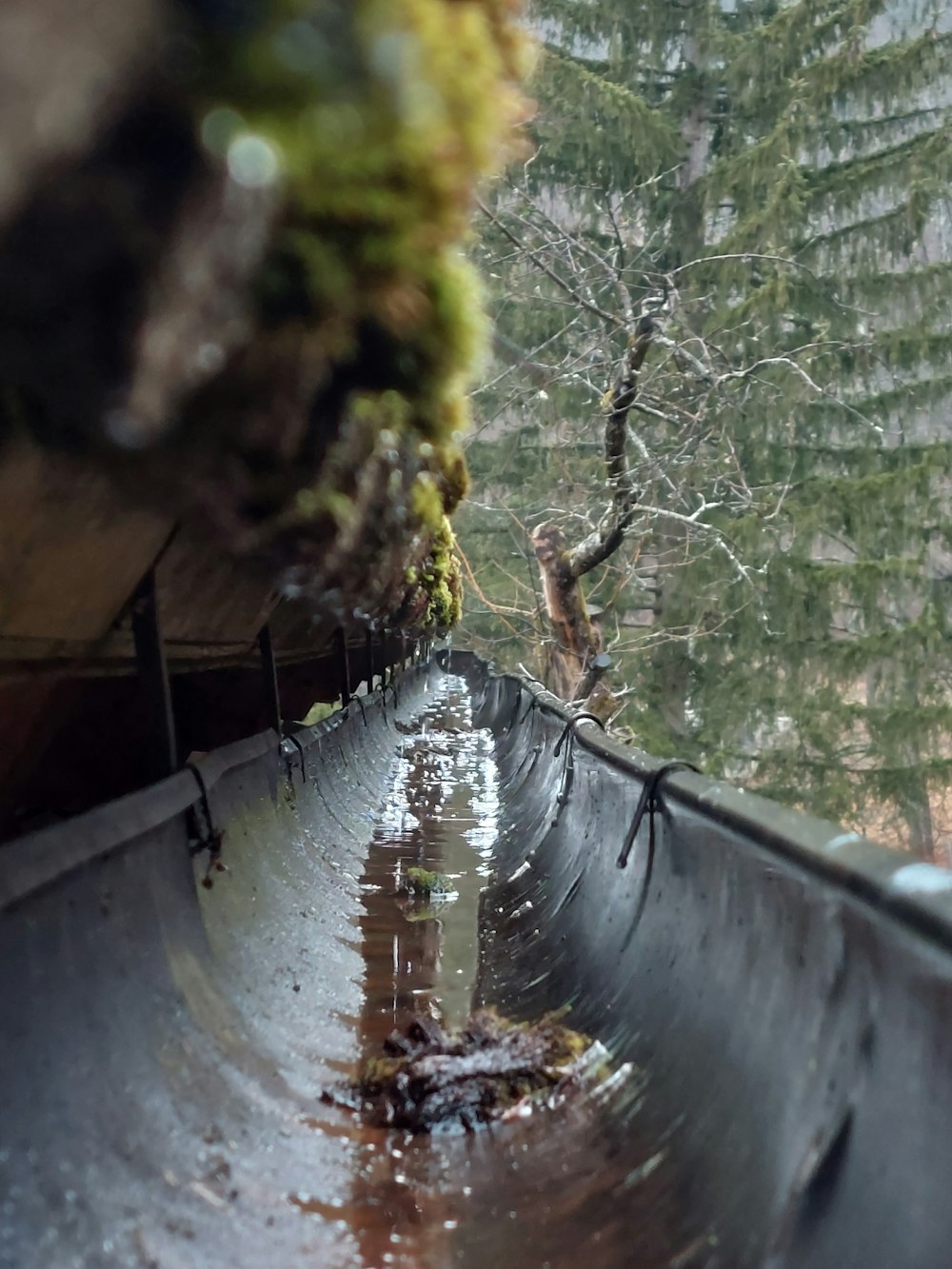 a long metal pipe with a tree in the background