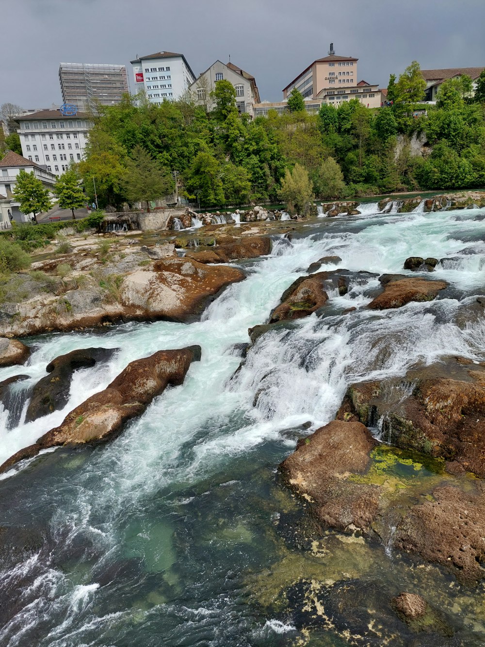 Un río que atraviesa un frondoso bosque verde